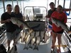 (06/25/2018) - Nice Striped Bass